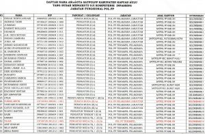 Jabatan Fungsional Satuan Polisi Pamong Praja